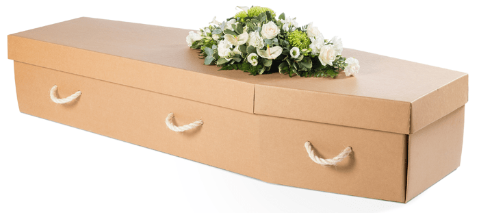 Cardboard Coffin