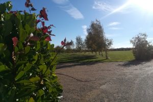 Shrubs and trees around Alford crematorium car park